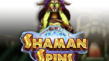 Shaman Spins