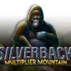 Silverback: Multiplier Mountain