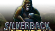 Silverback: Multiplier Mountain
