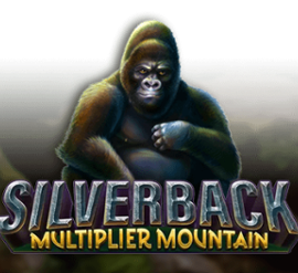 Silverback: Multiplier Mountain