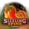 Sizzling Spins