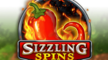 Sizzling Spins