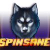 Spinsane