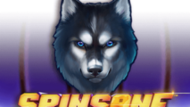 Spinsane