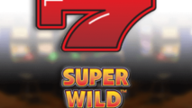 Super Wild Megaways