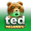Ted Megaways