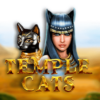 Temple Cats