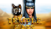 Temple Cats