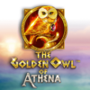 The Golden Owl of Athena