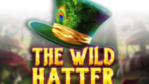 The Wild Hatter