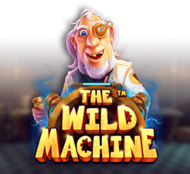 The Wild Machine