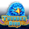 Thunder Bird