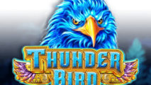 Thunder Bird