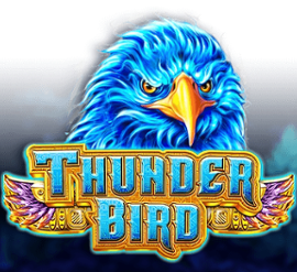 Thunder Bird