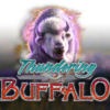 Thundering Buffalo