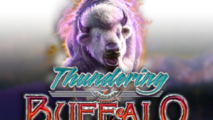 Thundering Buffalo