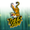 Tiger Rush