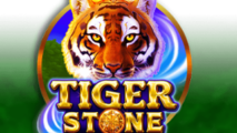 Tiger Stone