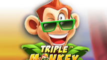 Triple Monkey