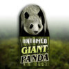 Untamed Giant Panda