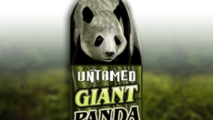 Untamed Giant Panda