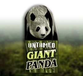 Untamed Giant Panda
