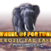 Wheel of Fortune Exotic Far East (Powerbucks)