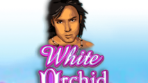 White Orchid