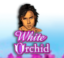 White Orchid