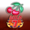 Wild 7