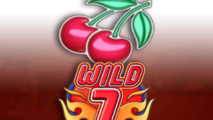 Wild 7