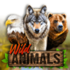 Wild Animals