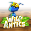Wild Antics
