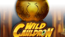 Wild Cauldron