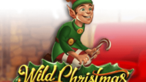 Wild Christmas