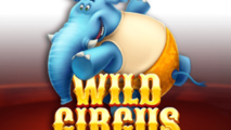 Wild Circus