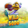 Wild Dodo