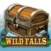 Wild Falls
