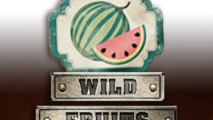Wild Fruits