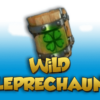 Wild Leprechaun