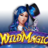 Wild Magic