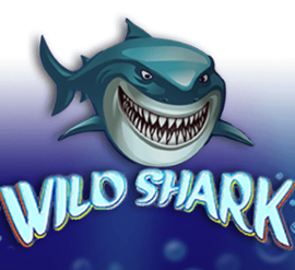 Wild Shark