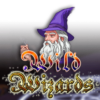 Wild Wizards