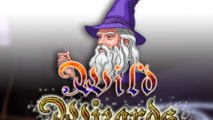 Wild Wizards