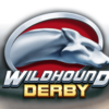 Wildhound Derby