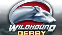 Wildhound Derby
