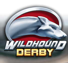 Wildhound Derby