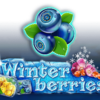 Winter Berries