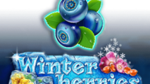 Winter Berries