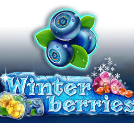 Winter Berries